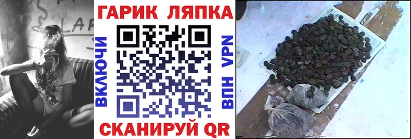 ГАШ Ice-O-Lator  Кимовск 