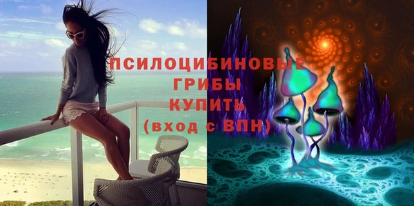 а пвп мука Михайлов