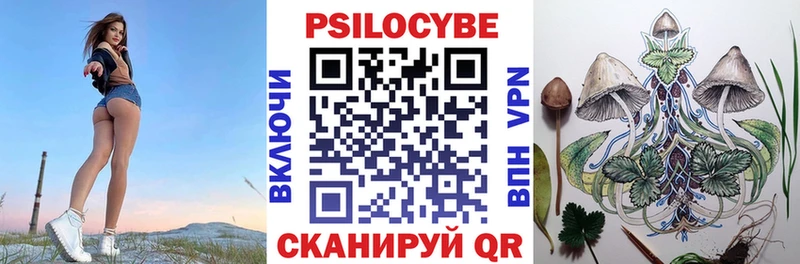 даркнет сайт  Кимовск  Галлюциногенные грибы Psilocybe 