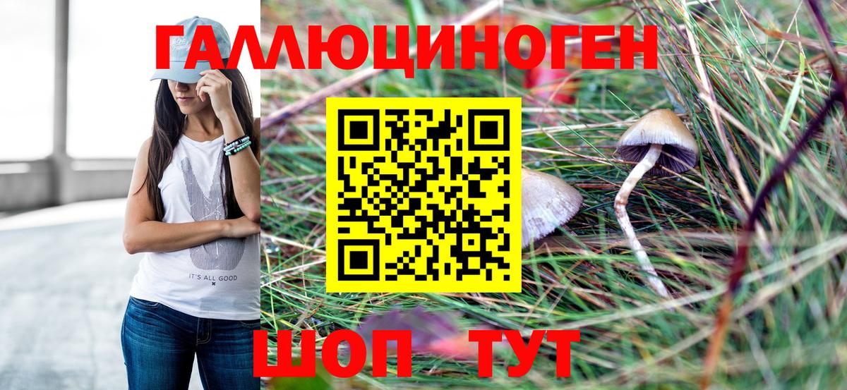 Псилоцибиновые грибы MAGIC MUSHROOMS  Псилоцибиновые грибы мицелий  Вход с VPN  Кимовск 