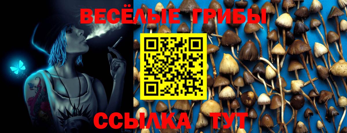 Галлюциногенные грибы Psilocybe Кимовск